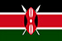 Pannello online e mobile in Kenia