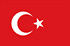 Pannello di ricerca di mercato in Turquía