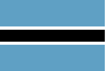 Pannello online e mobile in Botswana