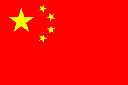 Panele online e mobile in Cina