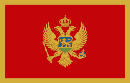 Pannello di ricerca di mercato online in Montenegro