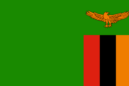 Pannello di ricerca online in Zambia
