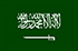 Pannello online e mobile in Arabia Saudita (KSA)
