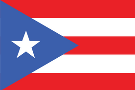 Pannello di ricerca di mercato in Porto Rico