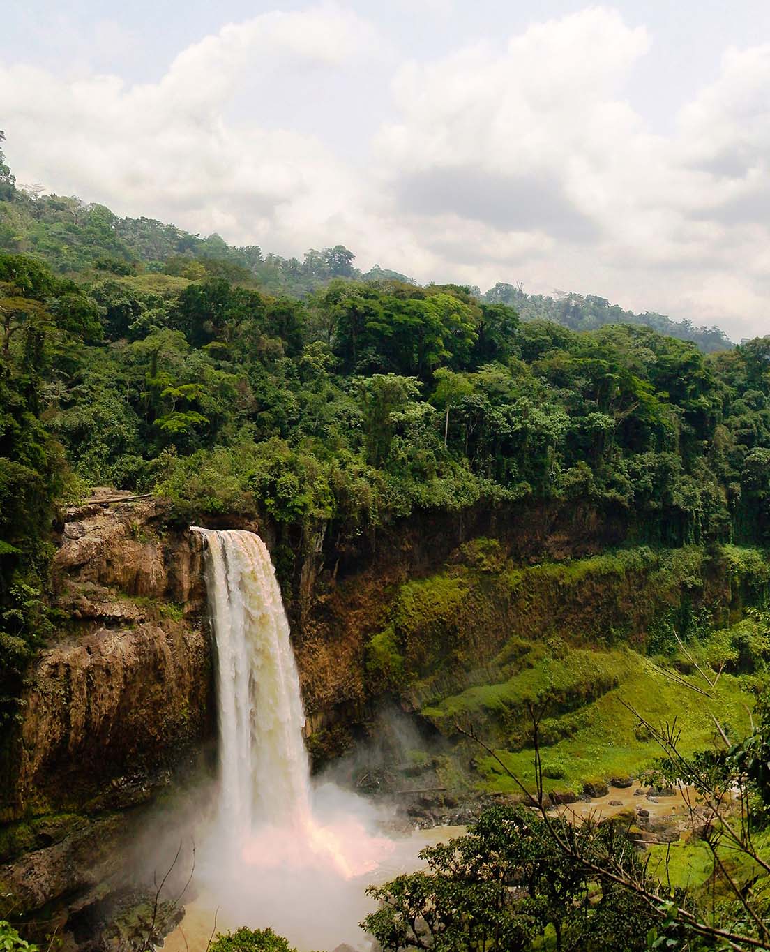 La Camerun in sintesi