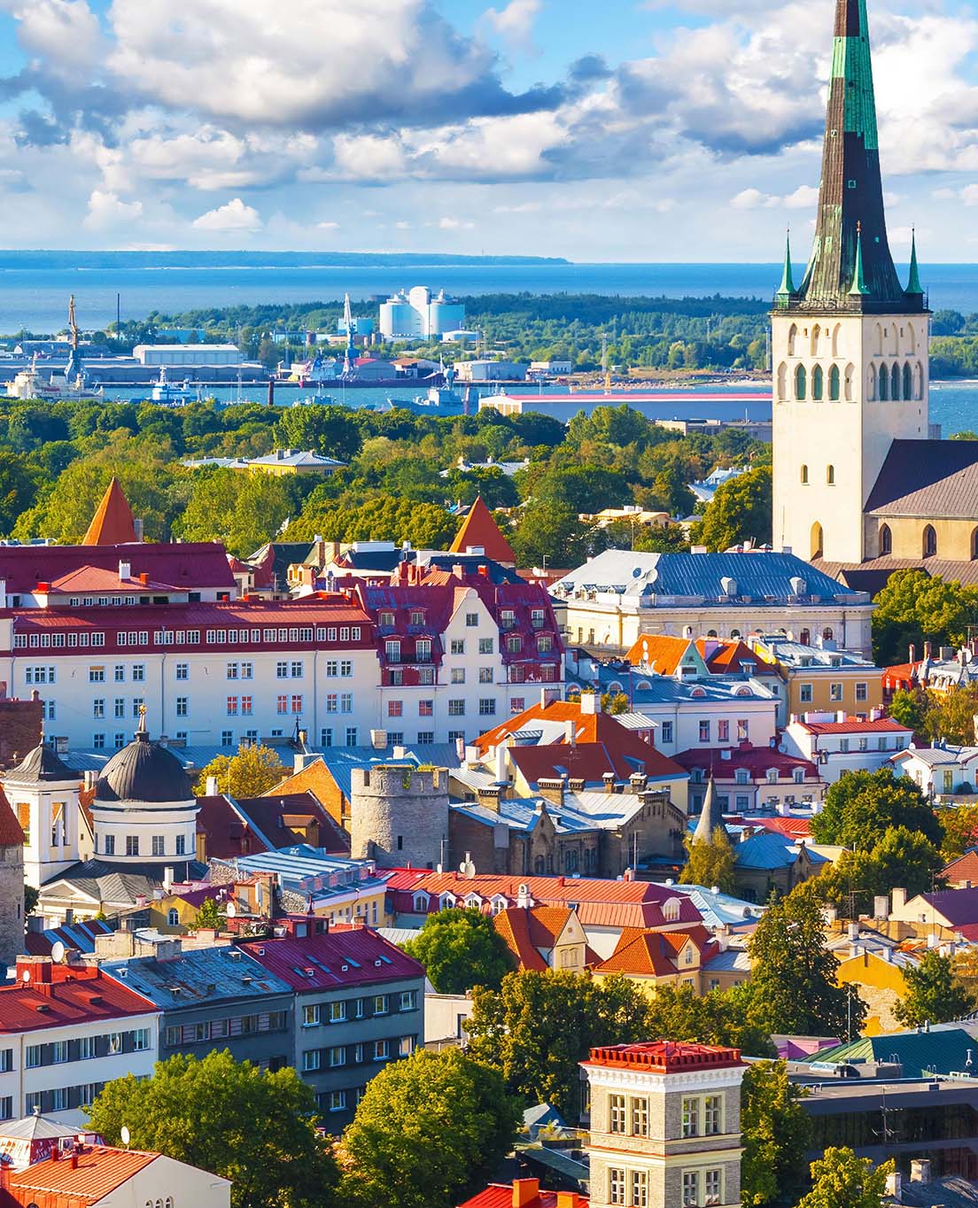 La Estonia in sintesi
