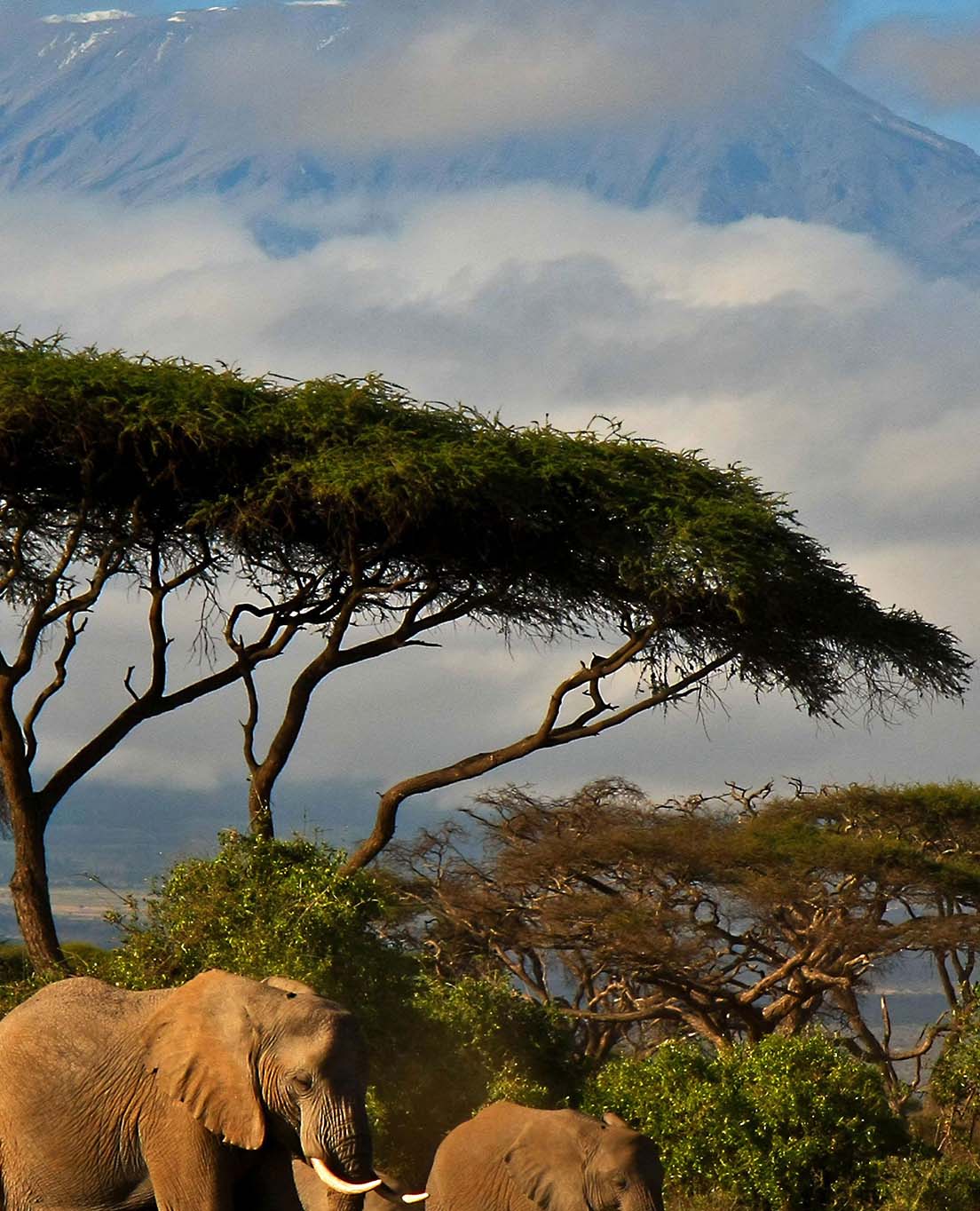 La Kenia in sintesi