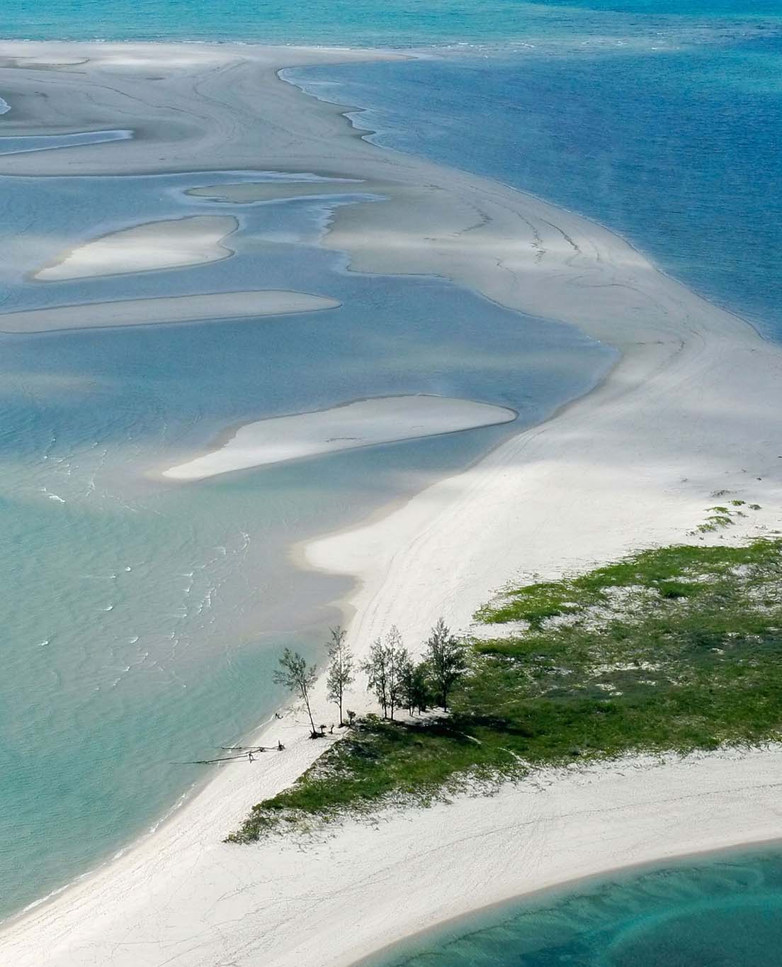 La Mozambico in sintesi