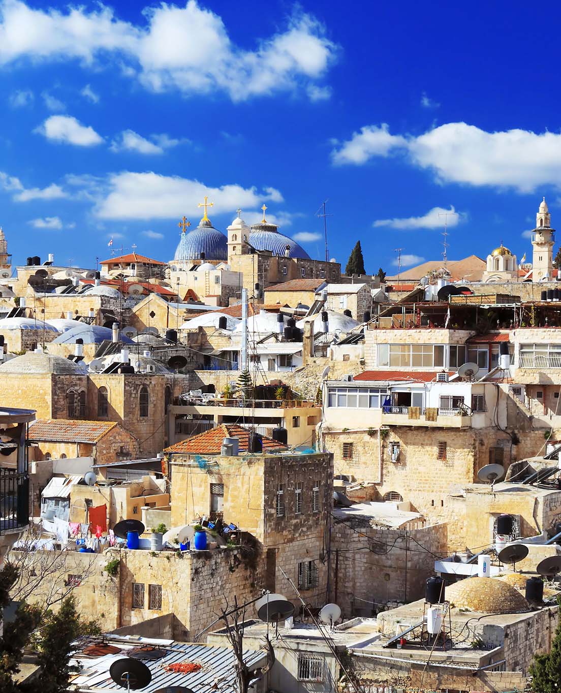 La Palestina in sintesi