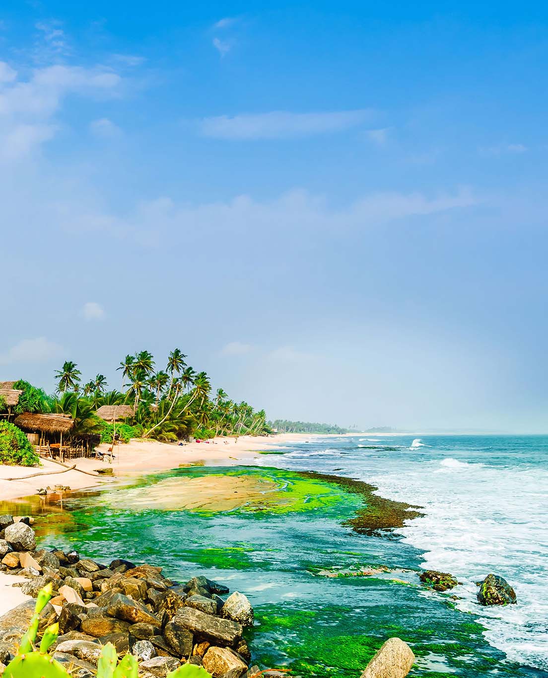 La Sri Lanka in sintesi