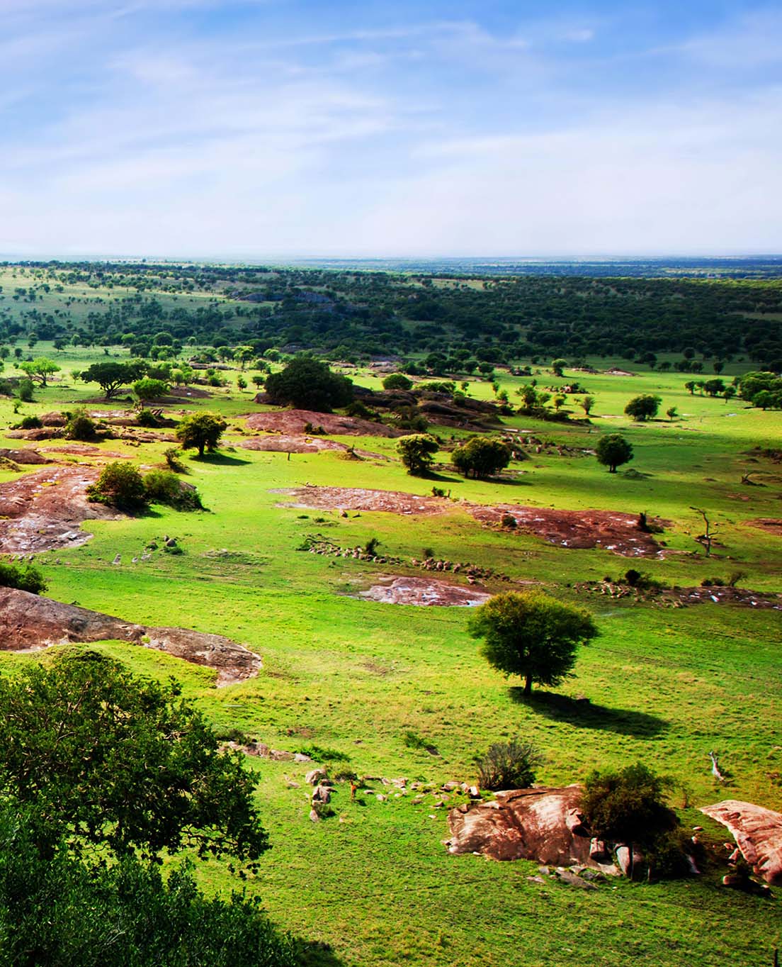 La Tanzania in sintesi