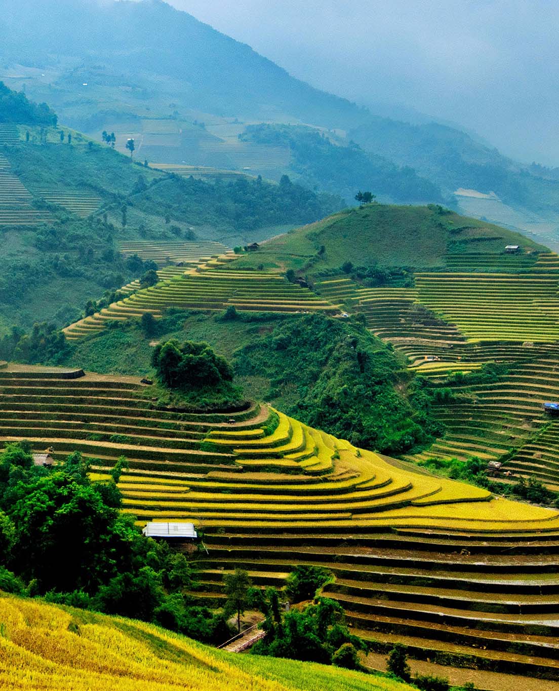 La Vietnam in sintesi